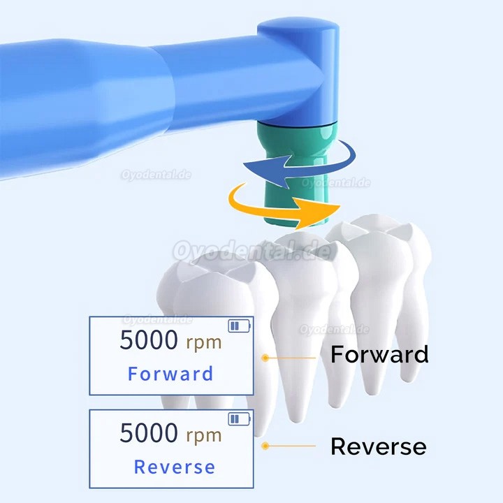 Elektrisches kabelloses Dentalhygiene-Prophy-Handstück 10 Geschwindigkeitseinstellungen
